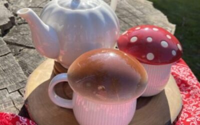 What To Bring On A Forest Bathing Walk